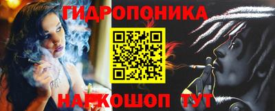прущие грибы Белореченск