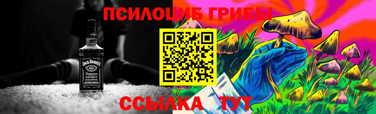 Псилоцибиновые грибы мицелий Тулун